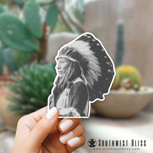 Native American Stickers | DETERMINATION